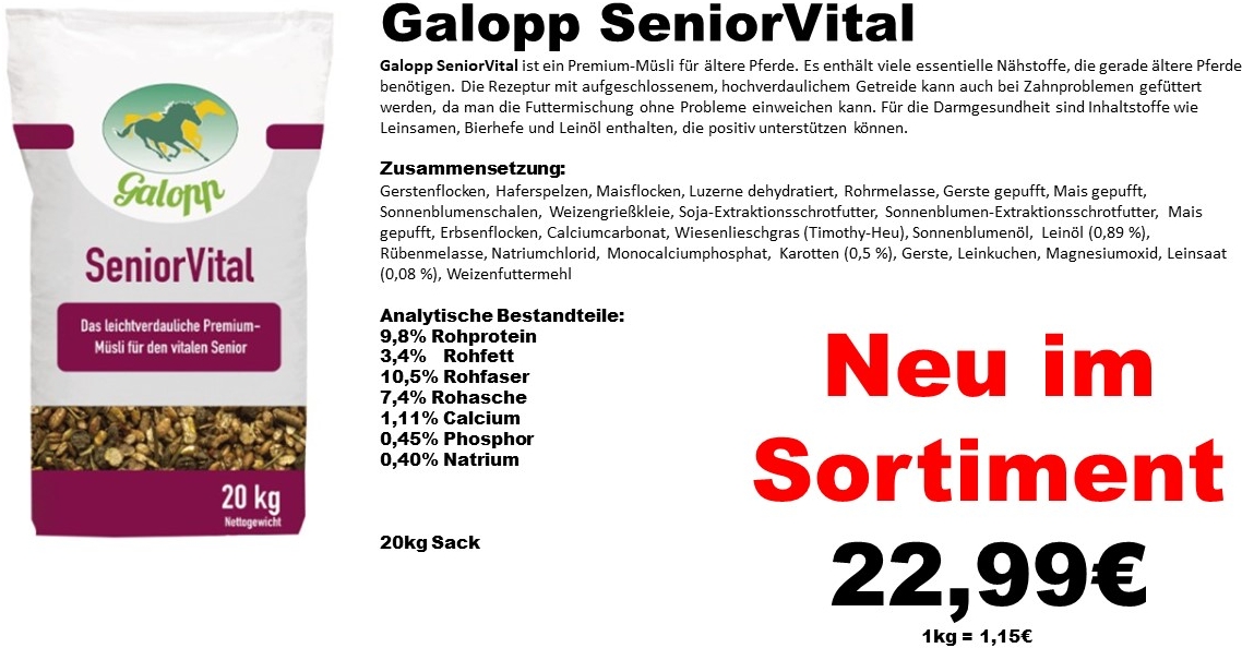 251013_Galopp_SeniorVital